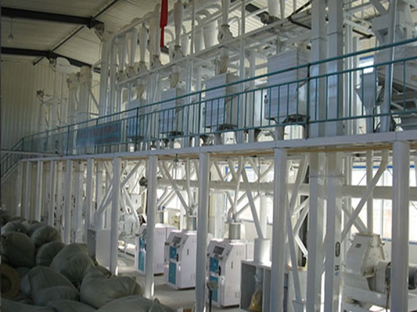 遼寧丹東100噸級玉米加工機械客戶整體現場（圖）